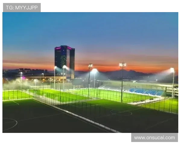 新疆伊宁青年投资建FIFA足球场
